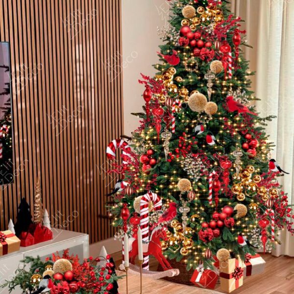 Ель Северное сияние Ель Северное сияние