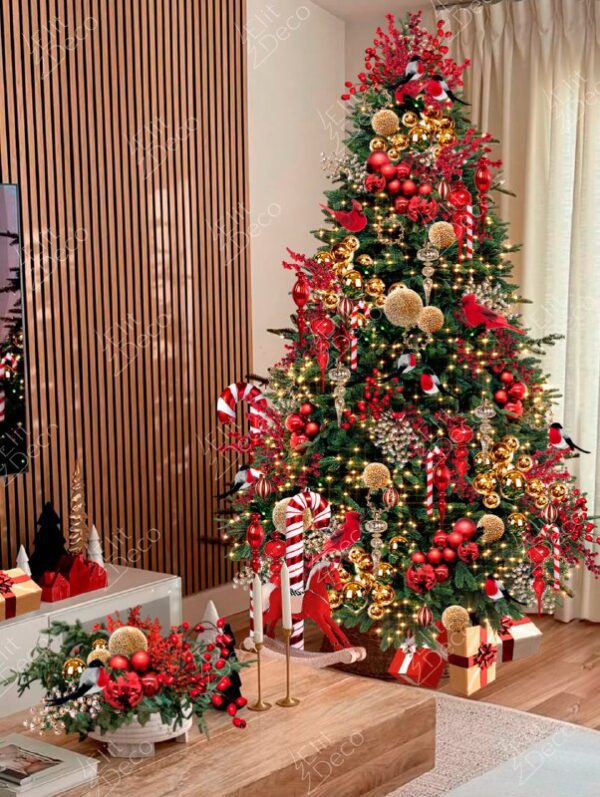 Ель Северное сияние Ель Северное сияние