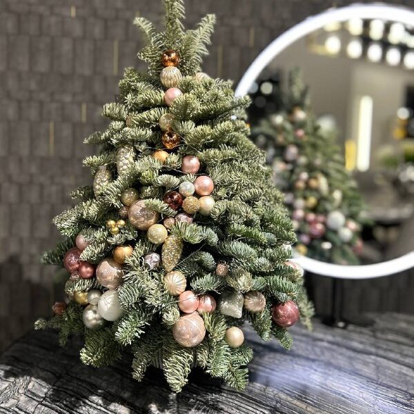 Композиция Новогодняя красавица Композиция Новогодняя красавица