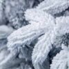 Ель Alpina заснеженная